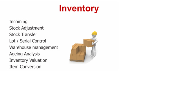 ERP Inventory